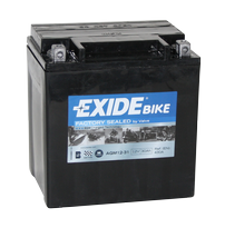 Exide AGM12-31 (SLA12-31)